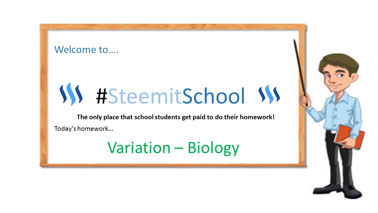 #steemitschool- variation.jpg