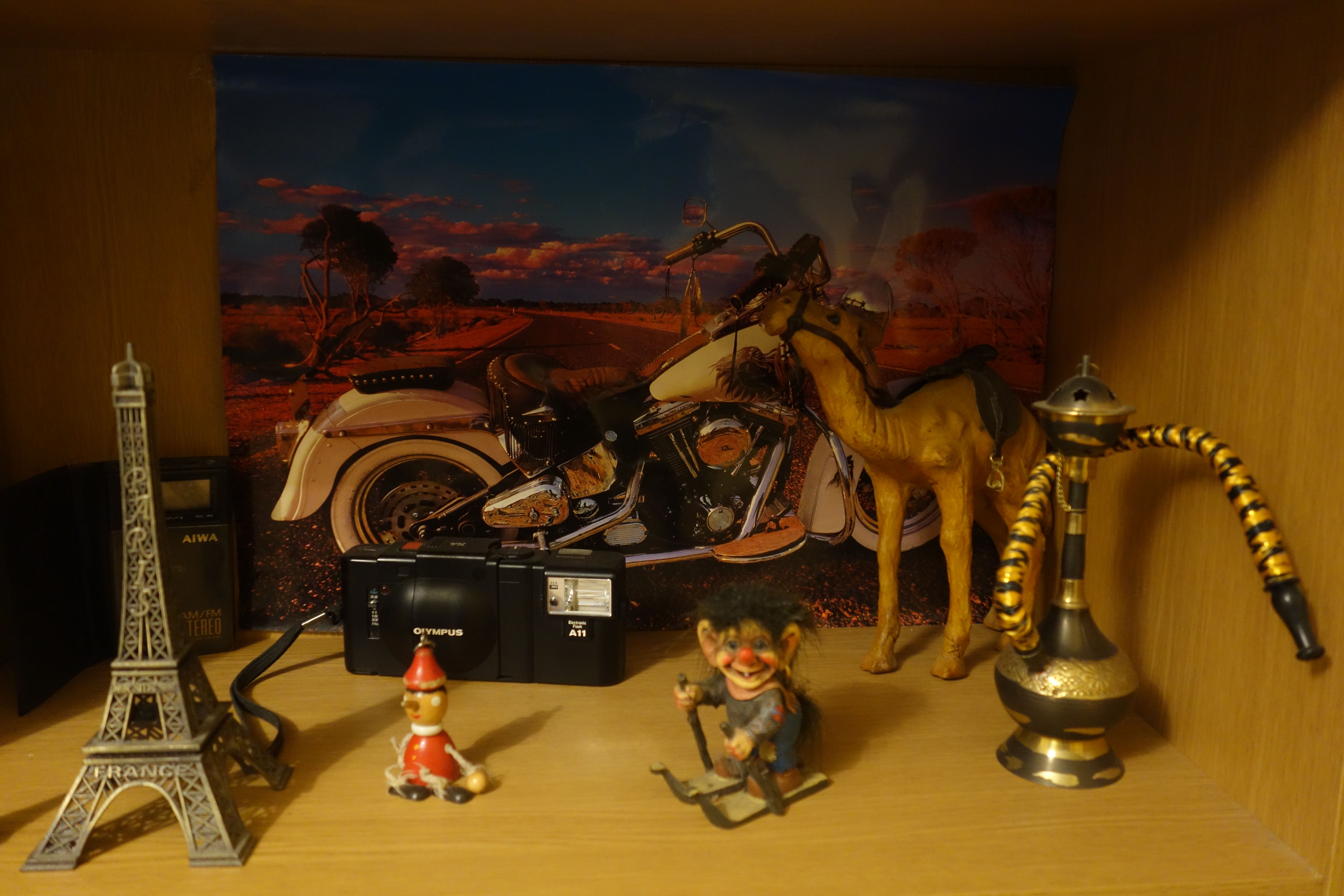 DSC01260.JPG
