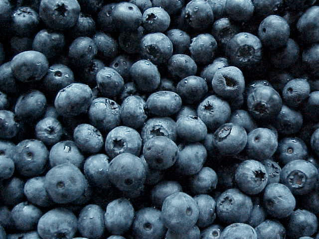 13 blue berries.jpg