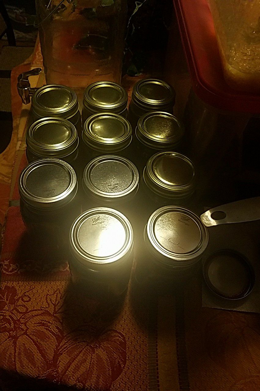 pint honey jars.jpg