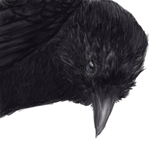 the raven.jpg