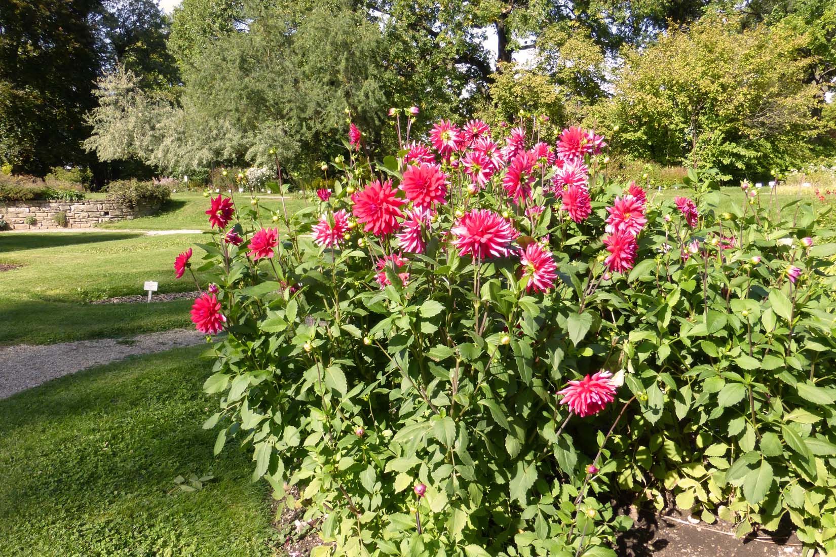 P1120200web.jpg
