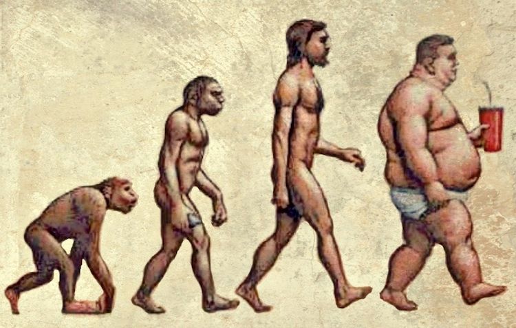 The-Evolution-of-Obesity.jpg