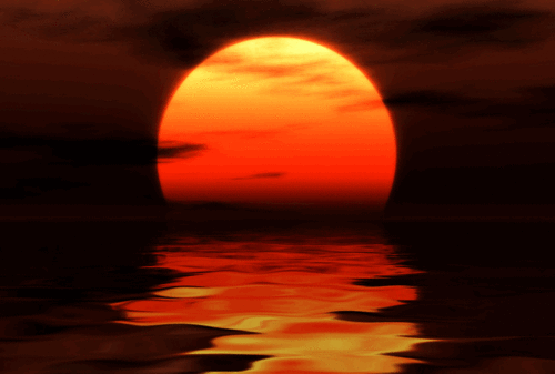 GrossAnotherAngelfish-small.gif