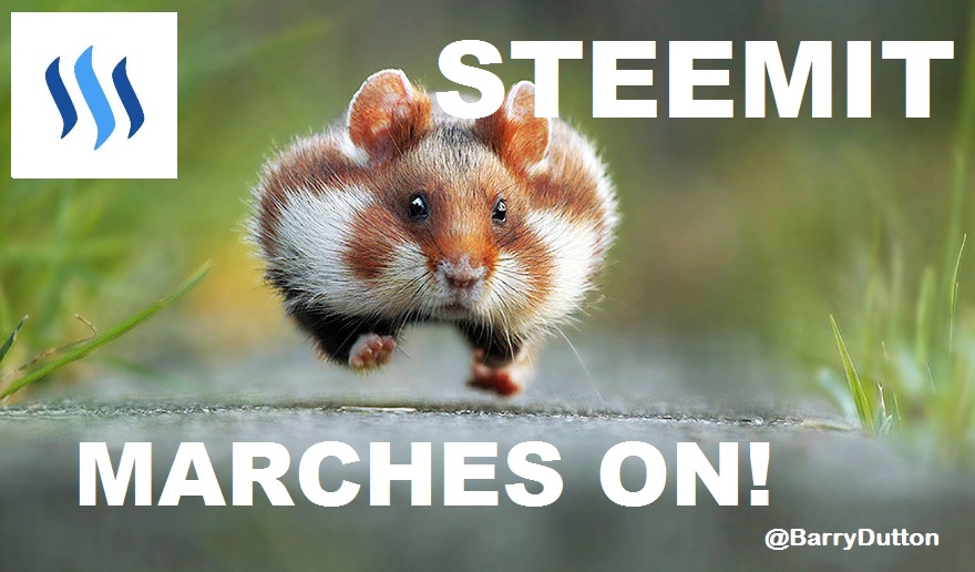 Steemit Hamster - Steemit Marches ON 880x516.jpg