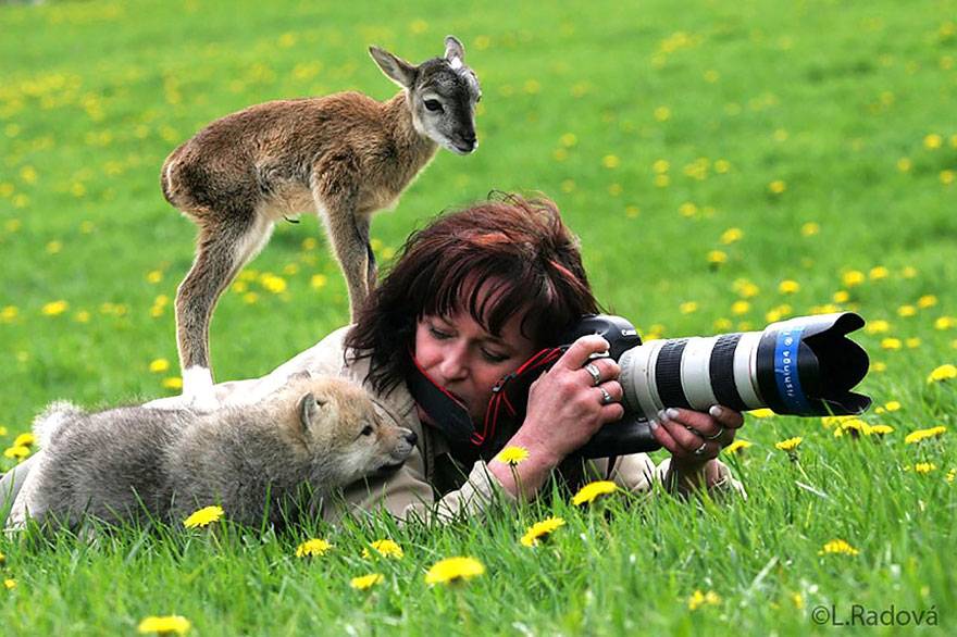 animals-with-camera-helping-photographers-7__880.jpg