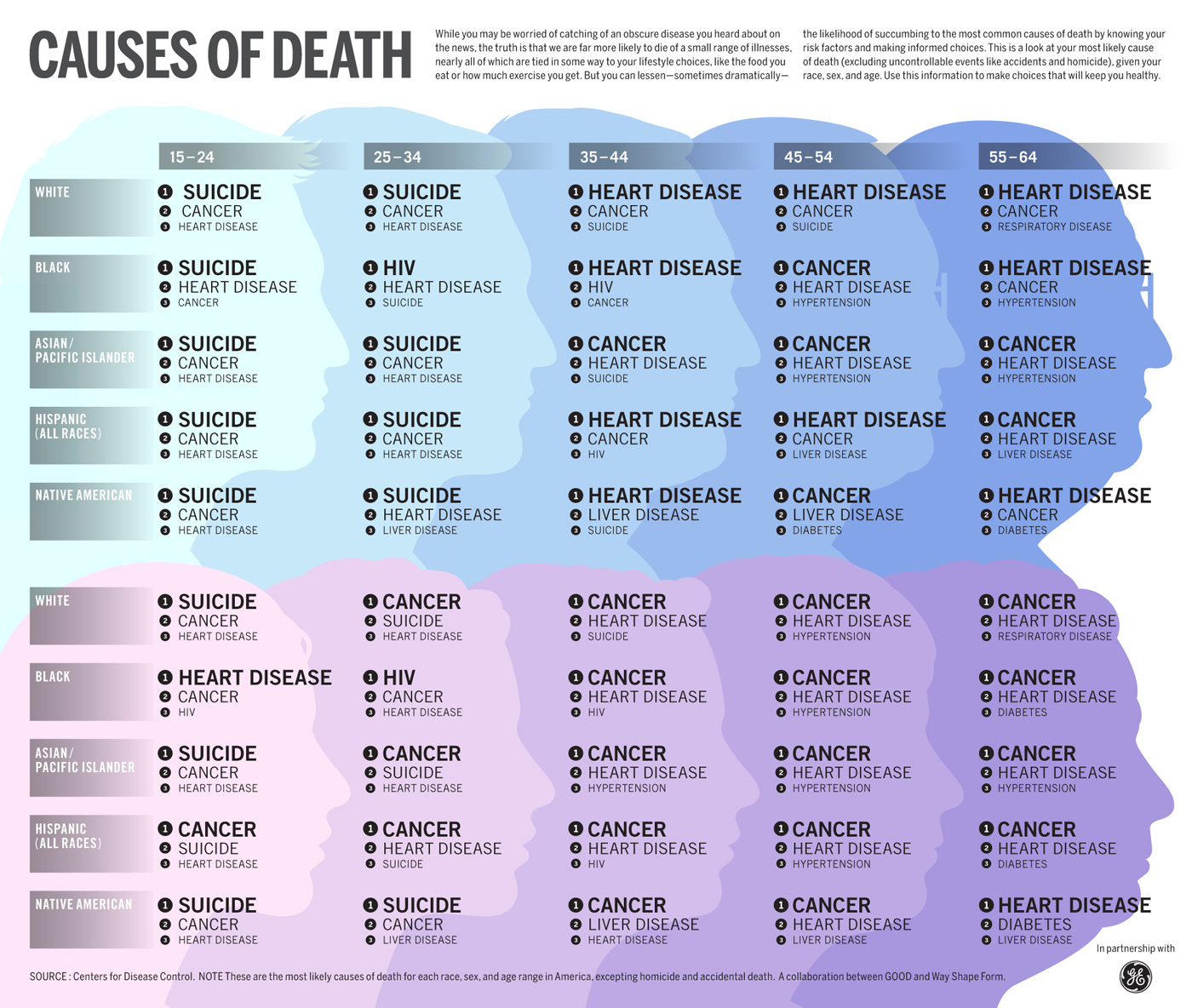 Causes of Death.jpg