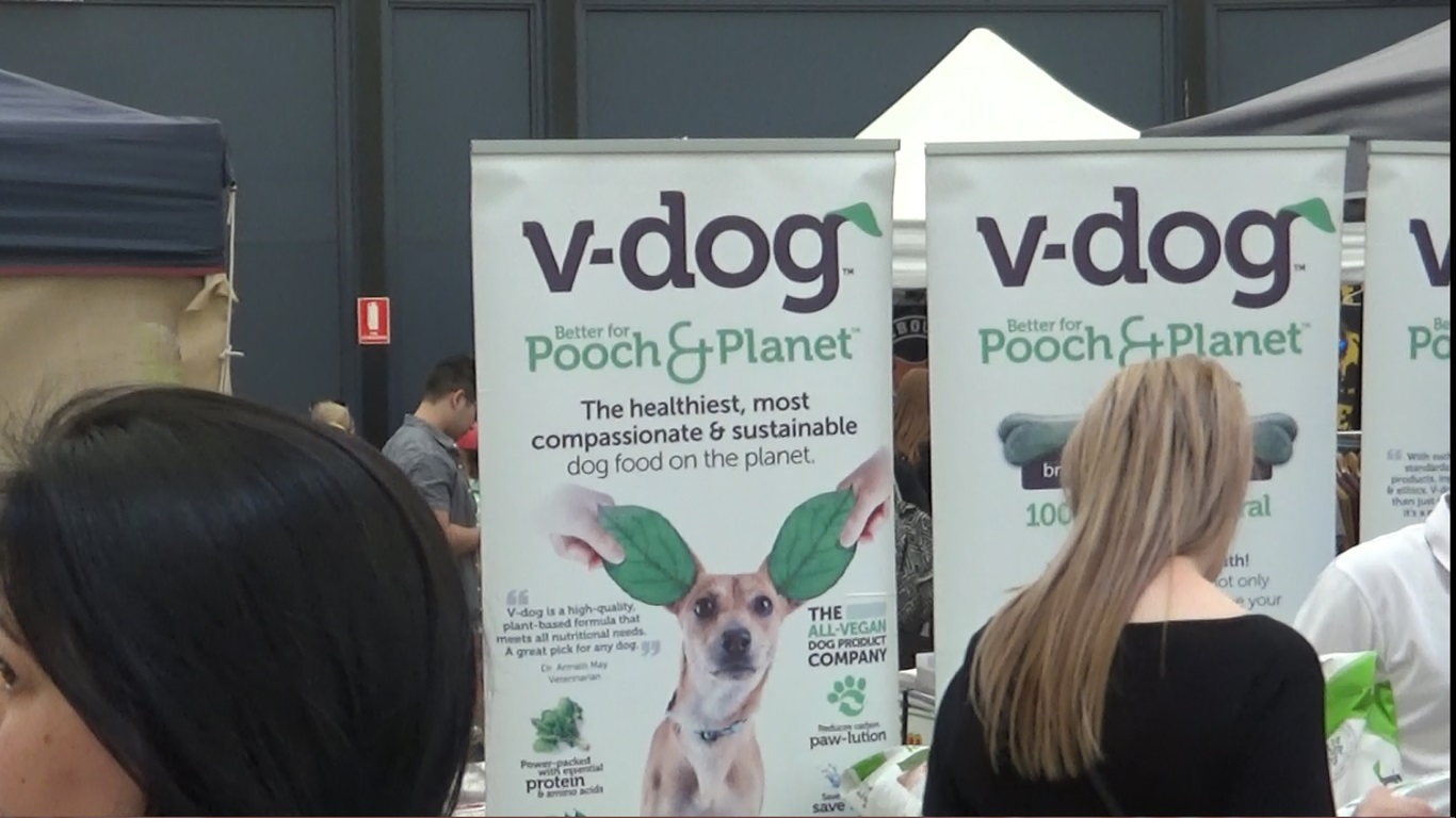 Vdog.jpg