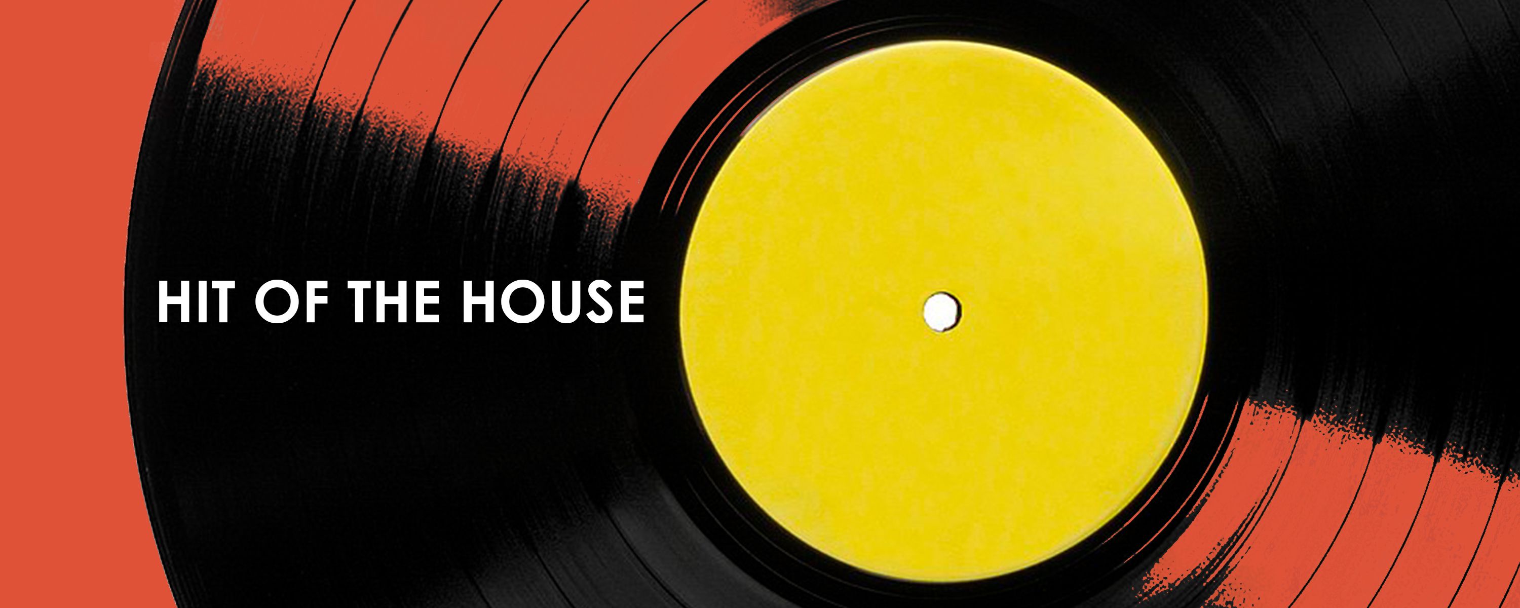 Hit of the house.jpg