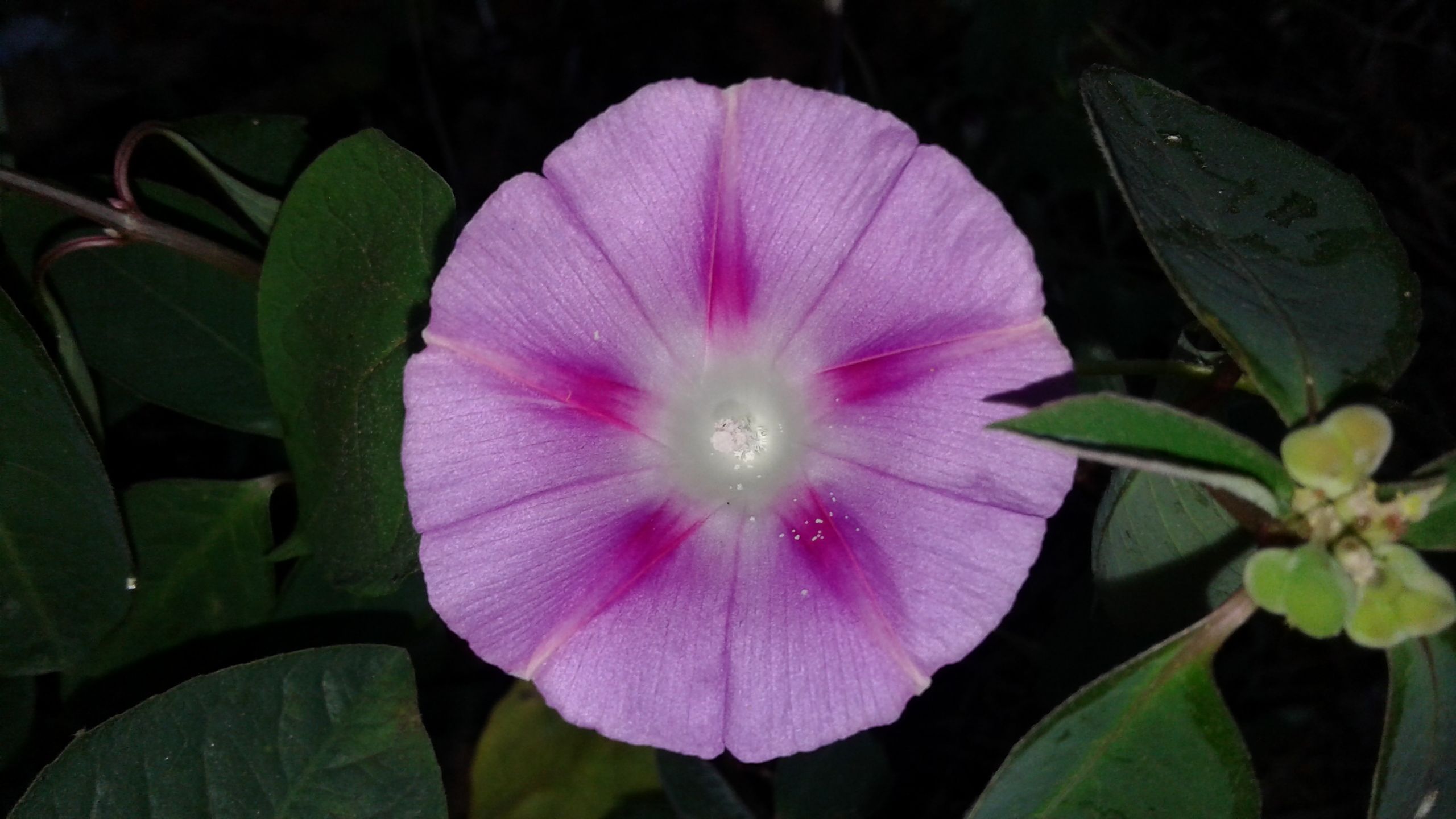 20180304_122639.jpg
