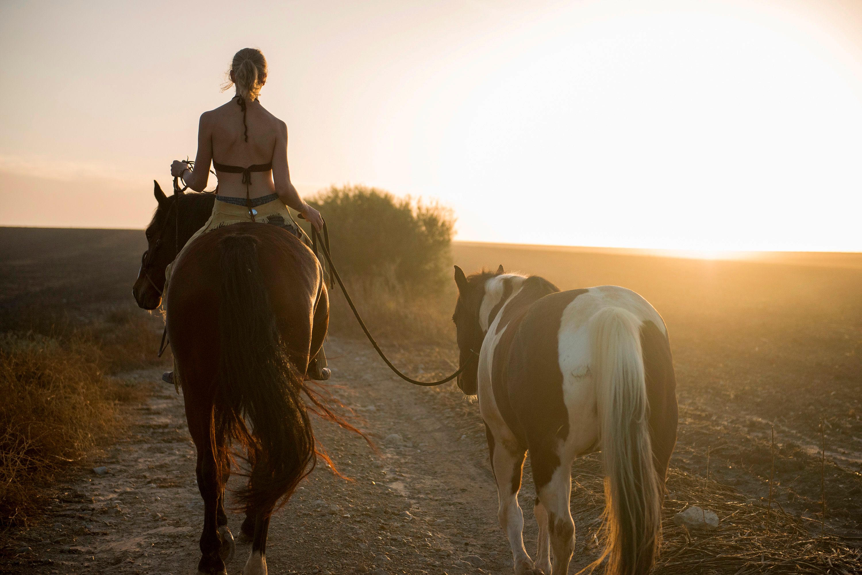 Tara_Orlin_horsemanship1.jpg