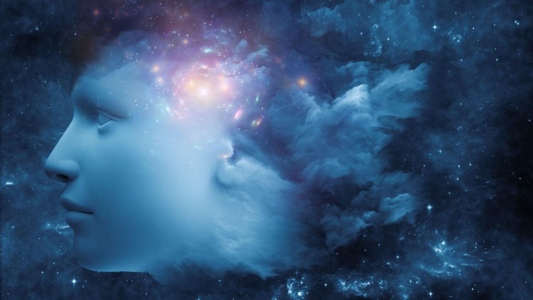 sn-consciousness_0 (1).jpg
