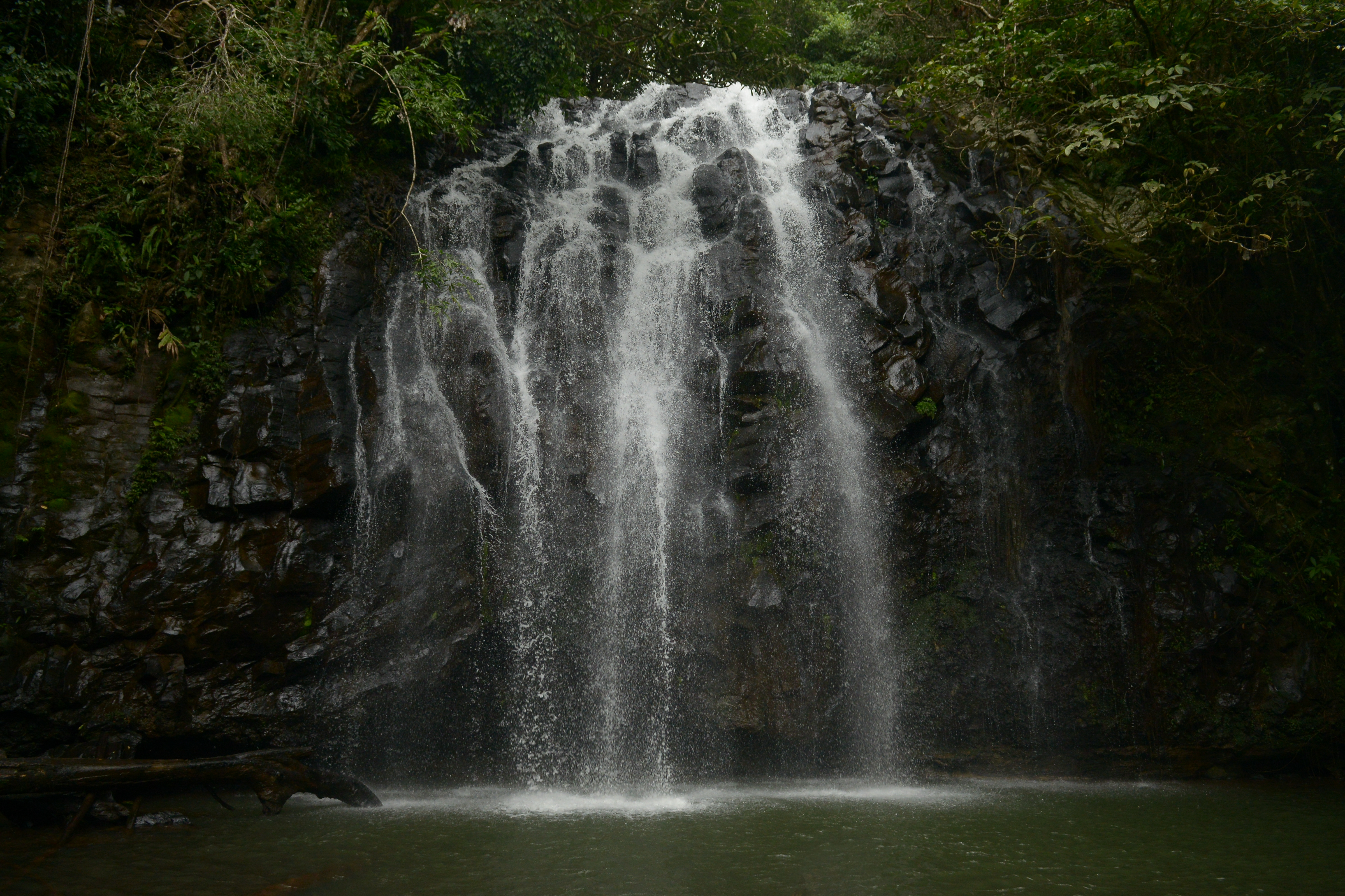MJF_2426.jpg