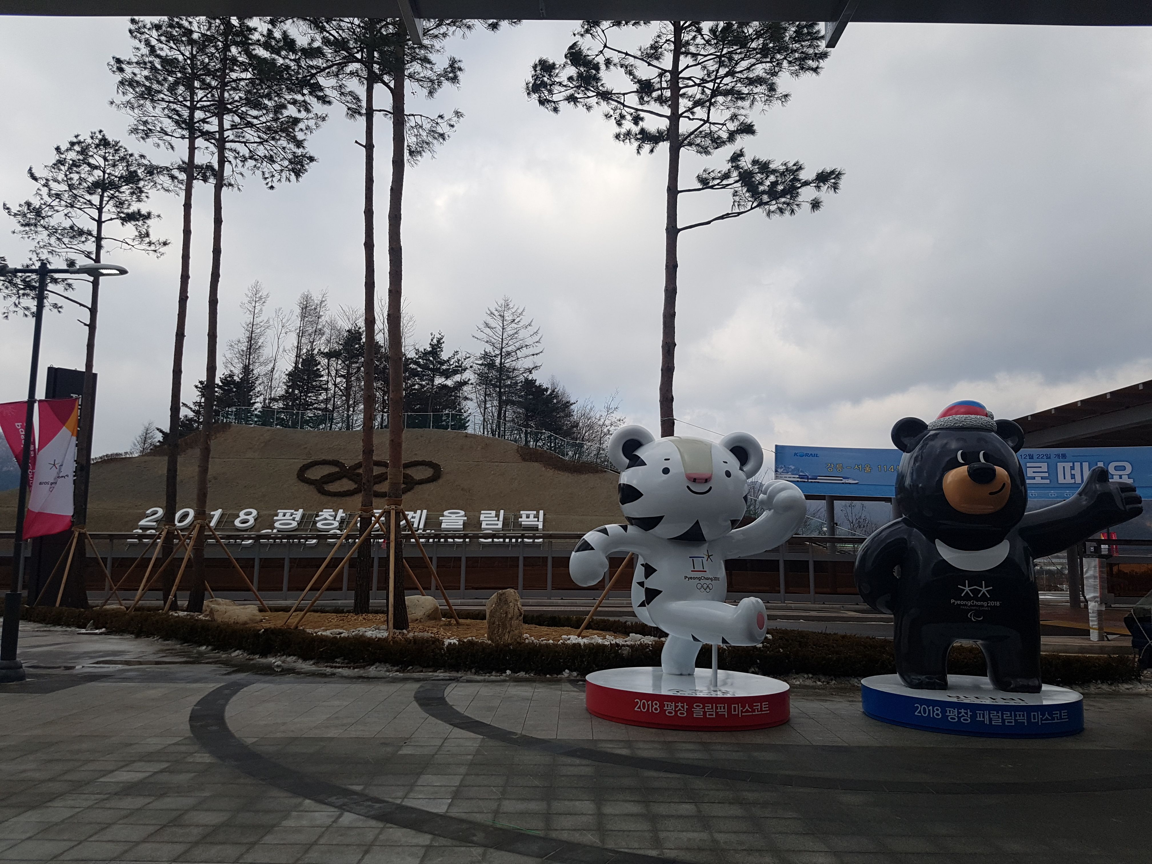 20171222_134705.jpg