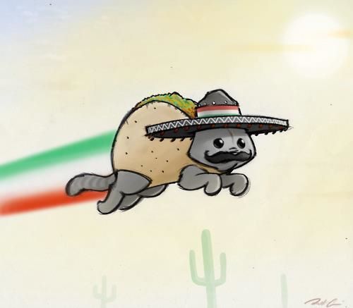 taco3.jpg