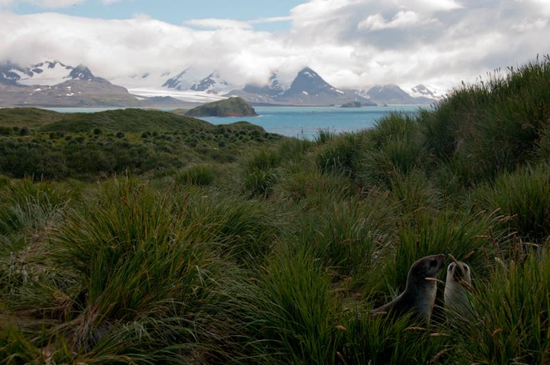 7-de-los-lugares-mas-inhospitos-en-la-tierra-donde-de-hecho-vive-gente-3.jpg