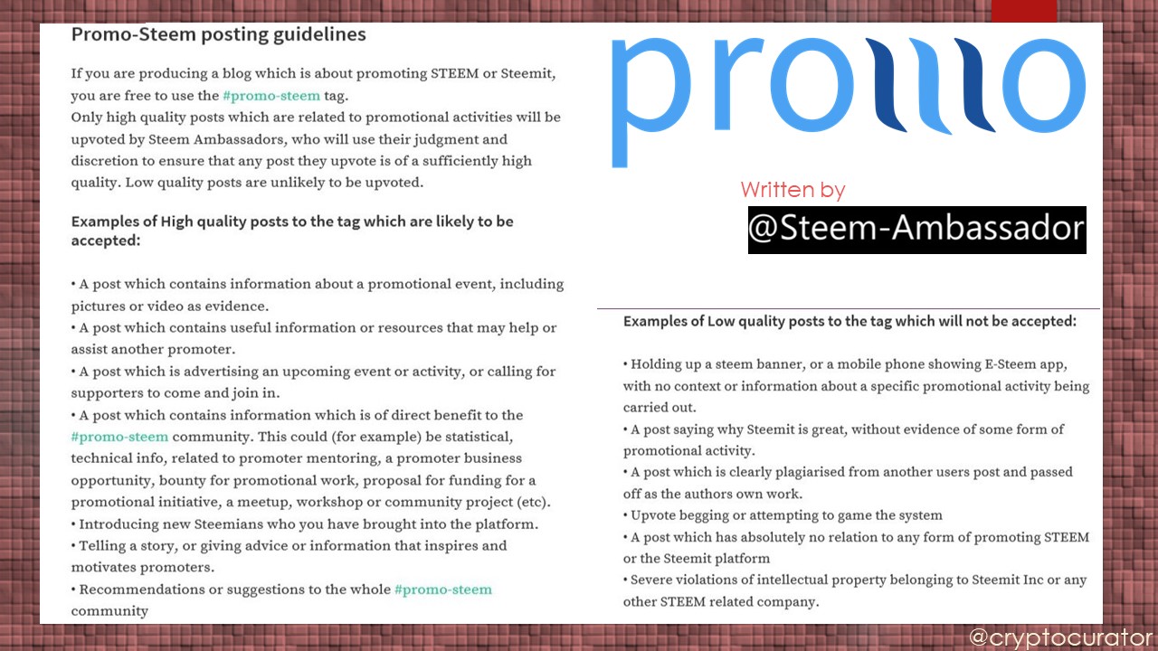 Extract from Guidelines For Promoting on Promo Steem Tag on Steemit.jpg