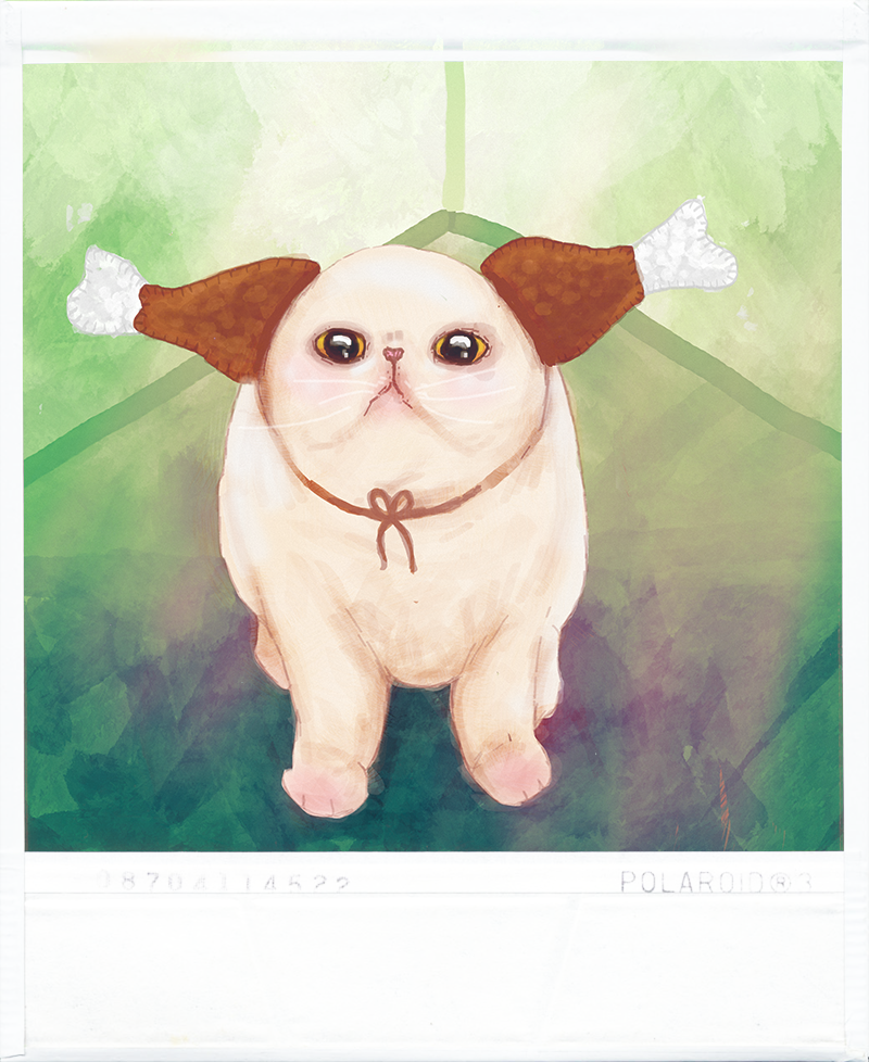 polaroid kitty.png