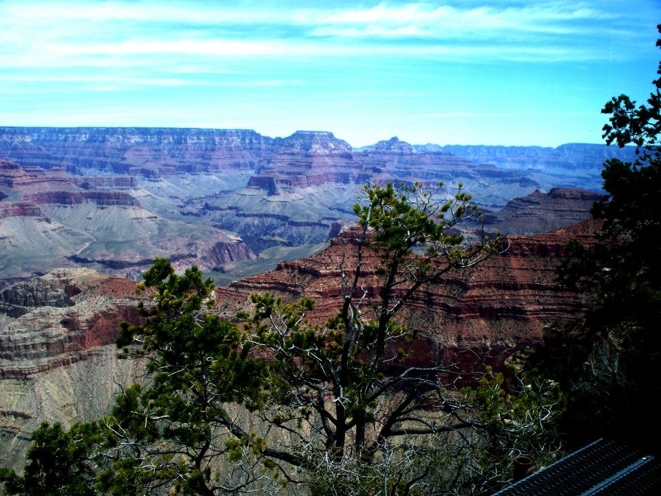 Grand-Canyon7.jpg