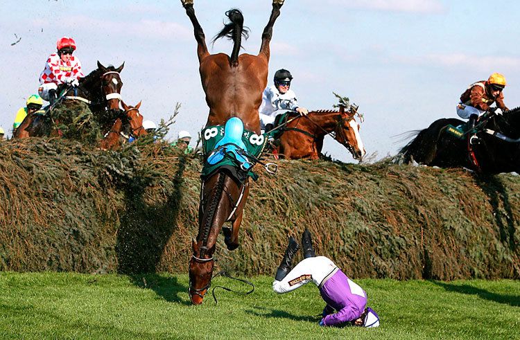 epic-horse-fail-pictures-26-wide-wallpaper.jpg