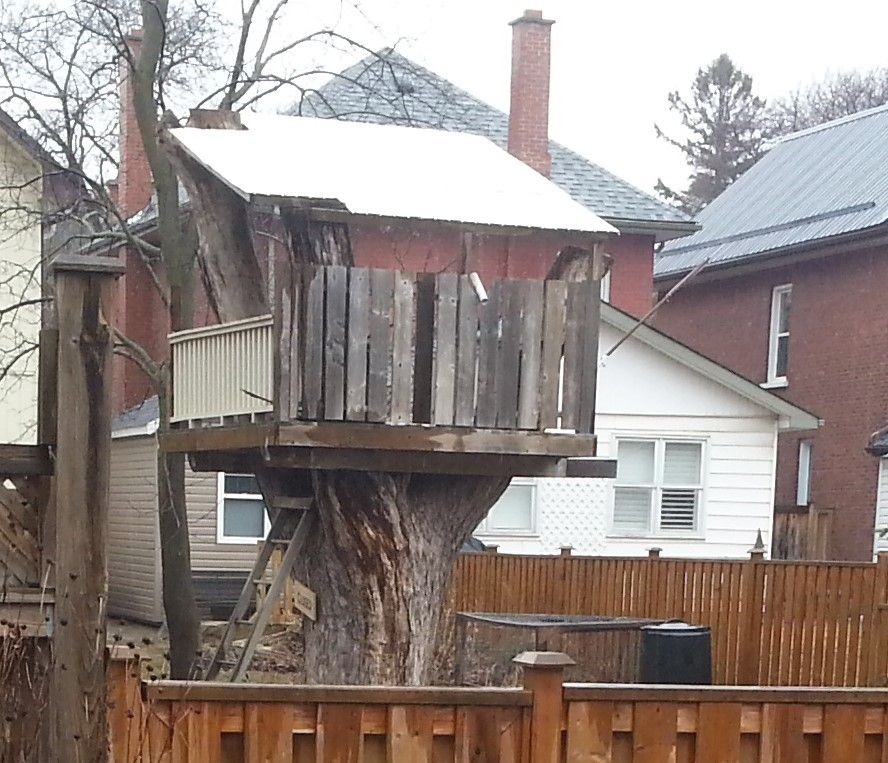 treehouse.jpg