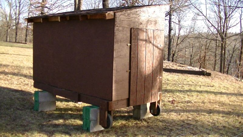 180516-04_first-chicken-coop-02_800x450.png