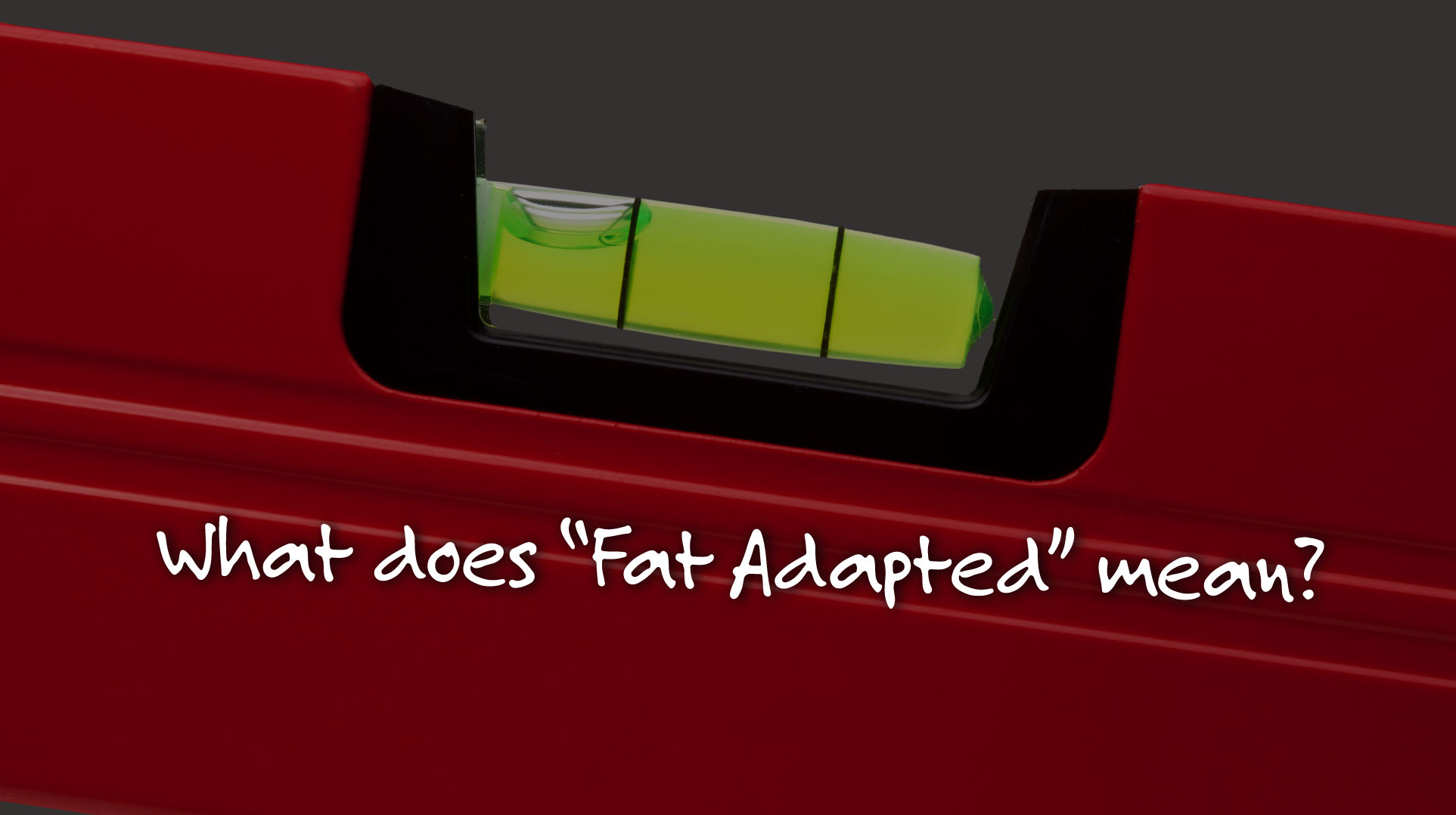 fat-adapted-Image1.jpg