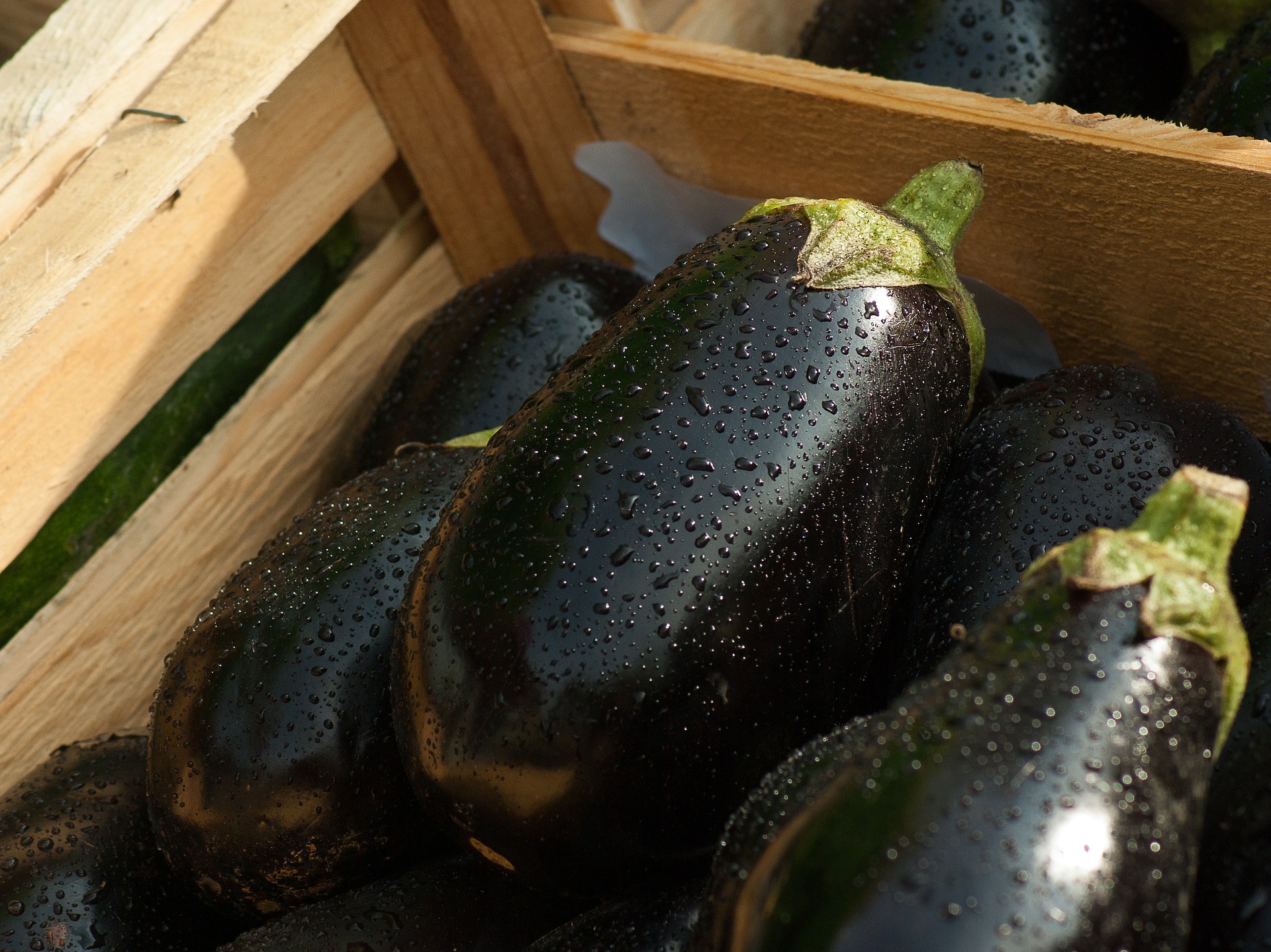 eggplant-1707629_1920.jpg