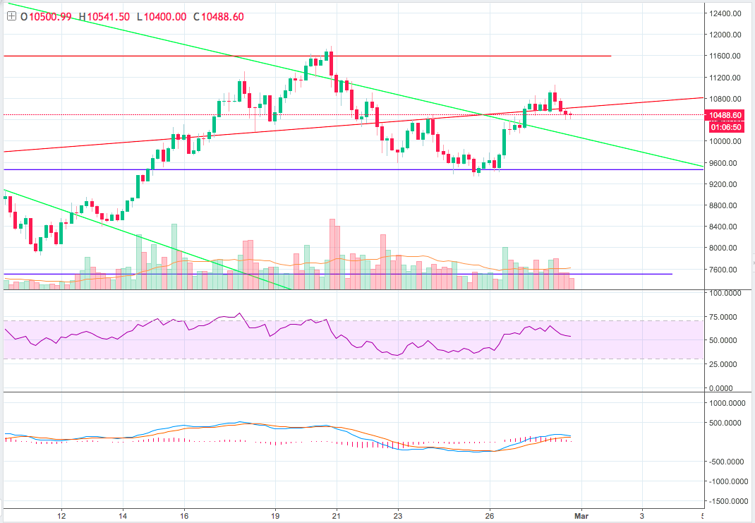 Screen Shot 2018-02-28 at 11.53.04 AM.png