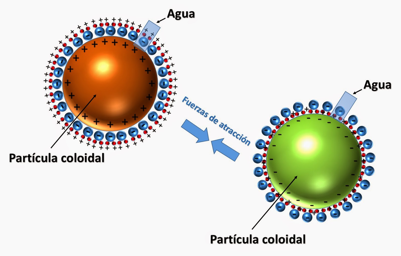 particulas coloidales diferentes.jpg