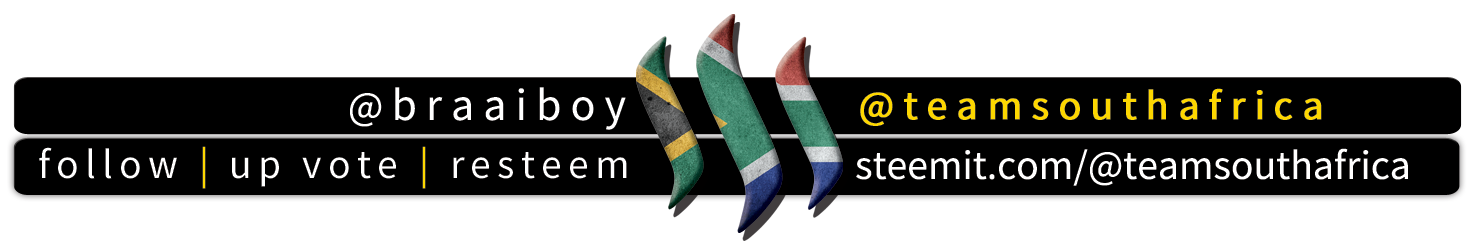 BraaiBoy TeamSouthAfrica Footer.png