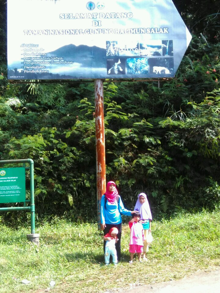 Holiday With Family Taman Nasional Gunung Halimun Salak