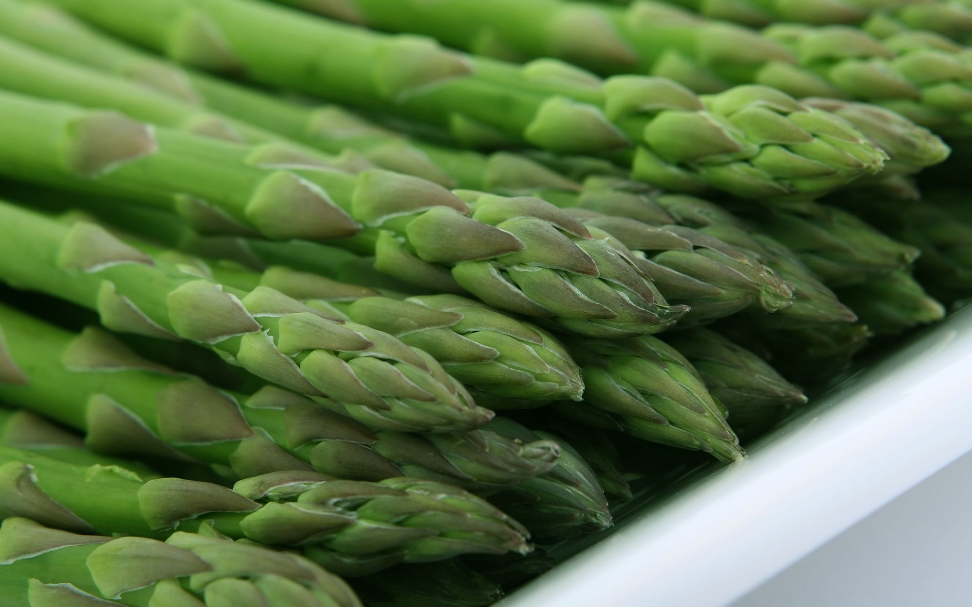 Asparagus-584dcee63df78c491e8cd670.jpg