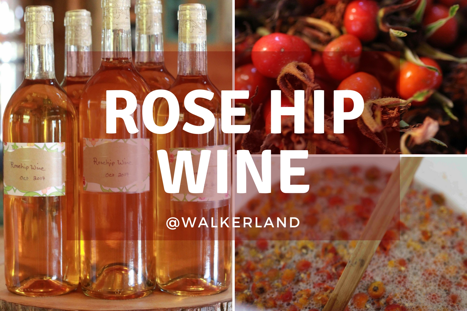 How To Make Rose Hip Wine Steemit