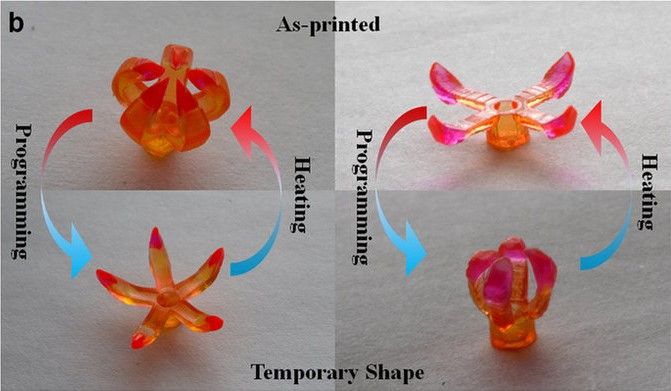4D_Printing_-_time-lapsed.jpg