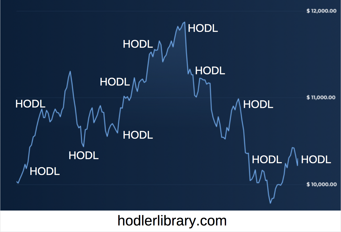 A Hodler - Blog Graphic.png