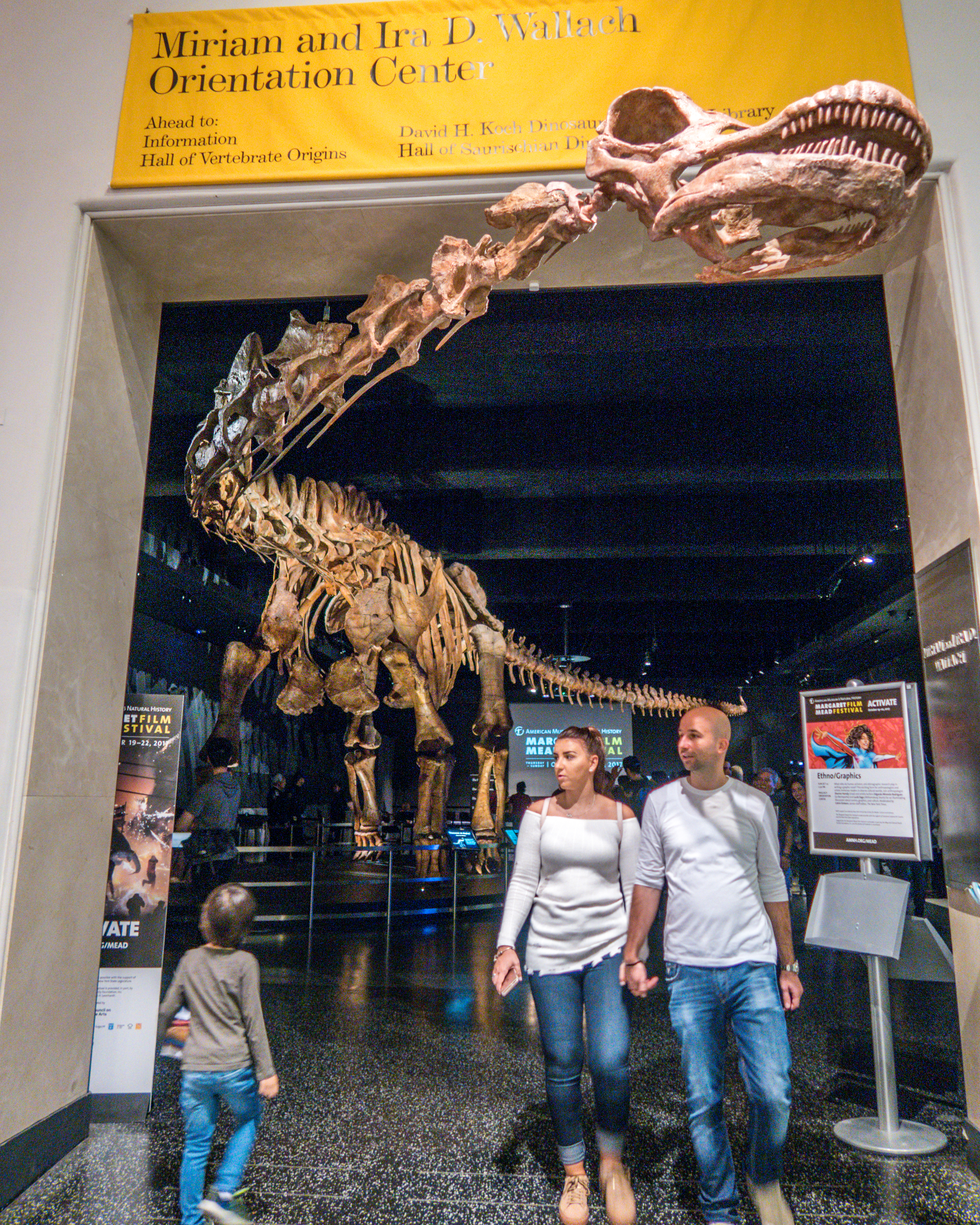 American Museum of Natural History_51.jpg