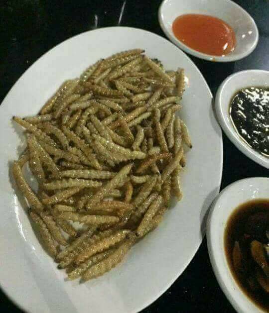 bamboo worms 4.jpg