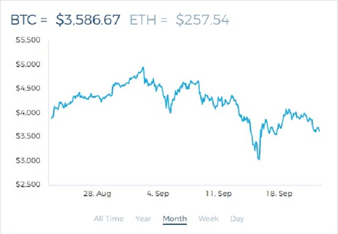 how does the cryptocurrency go up and down