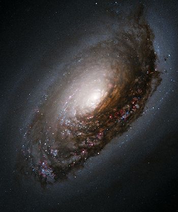 505px-Blackeyegalaxy.jpg