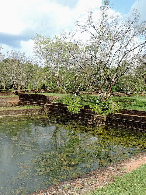 Sigiriya-Ancient-Pools.jpg