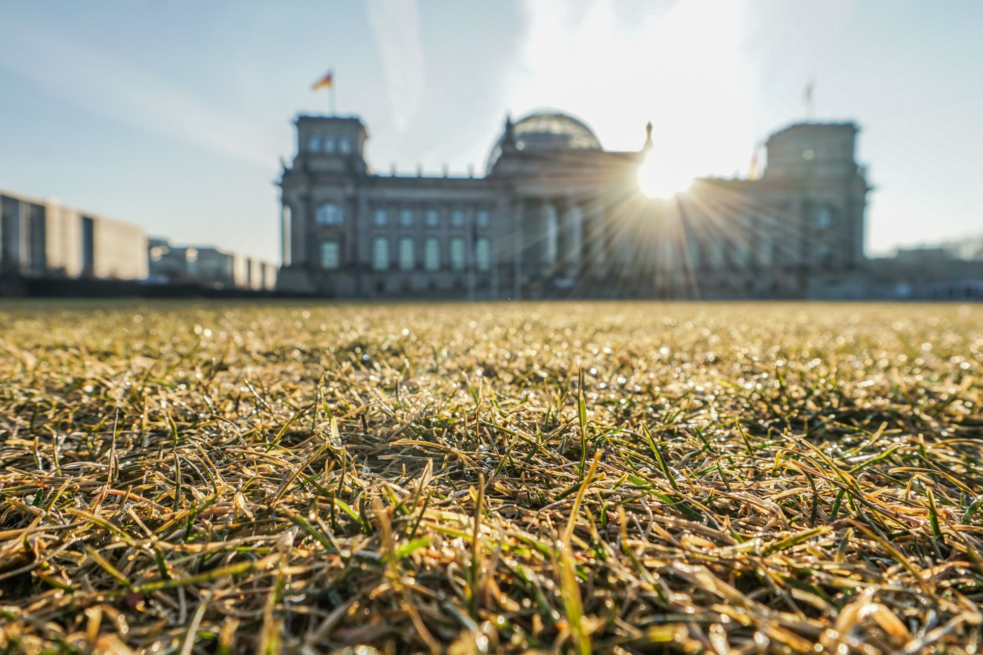 reichstag-3.jpg