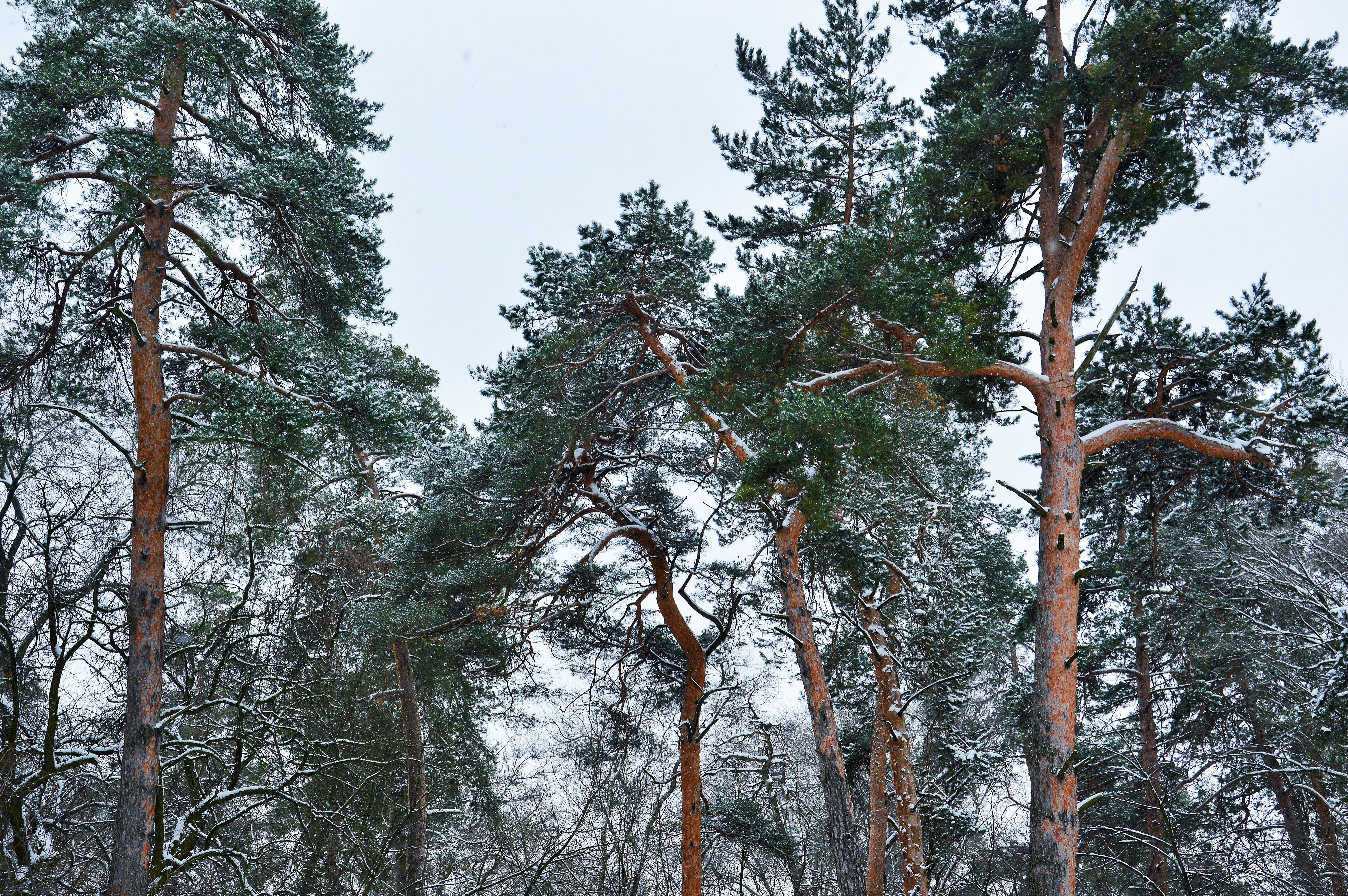 DSC_0031.JPG