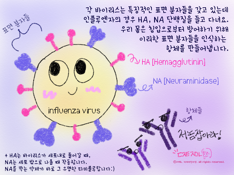 160106_2_Influenza_6r.png