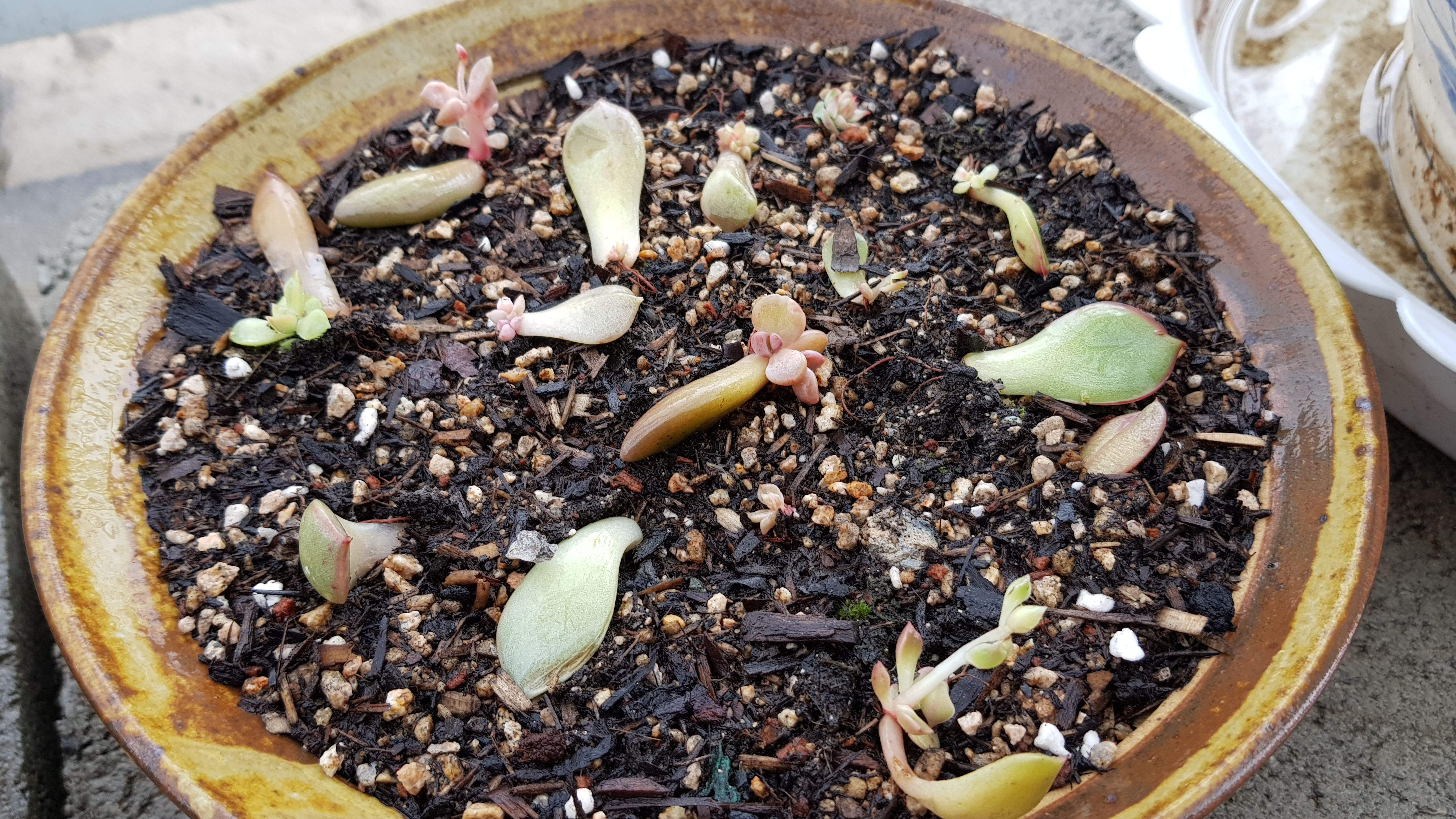 20180414_100637.jpg