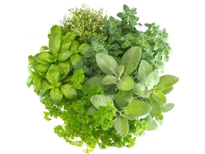 Herbs2-700x525.jpg