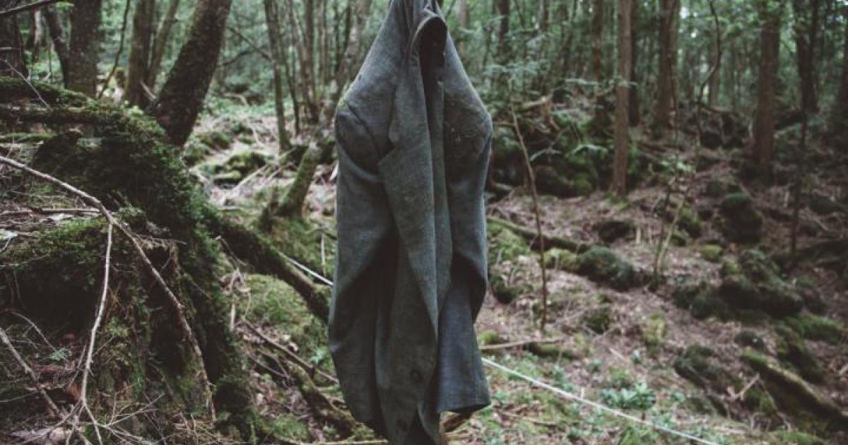 japans-mysterious-suicide-forest-aokigahara-140160.jpg