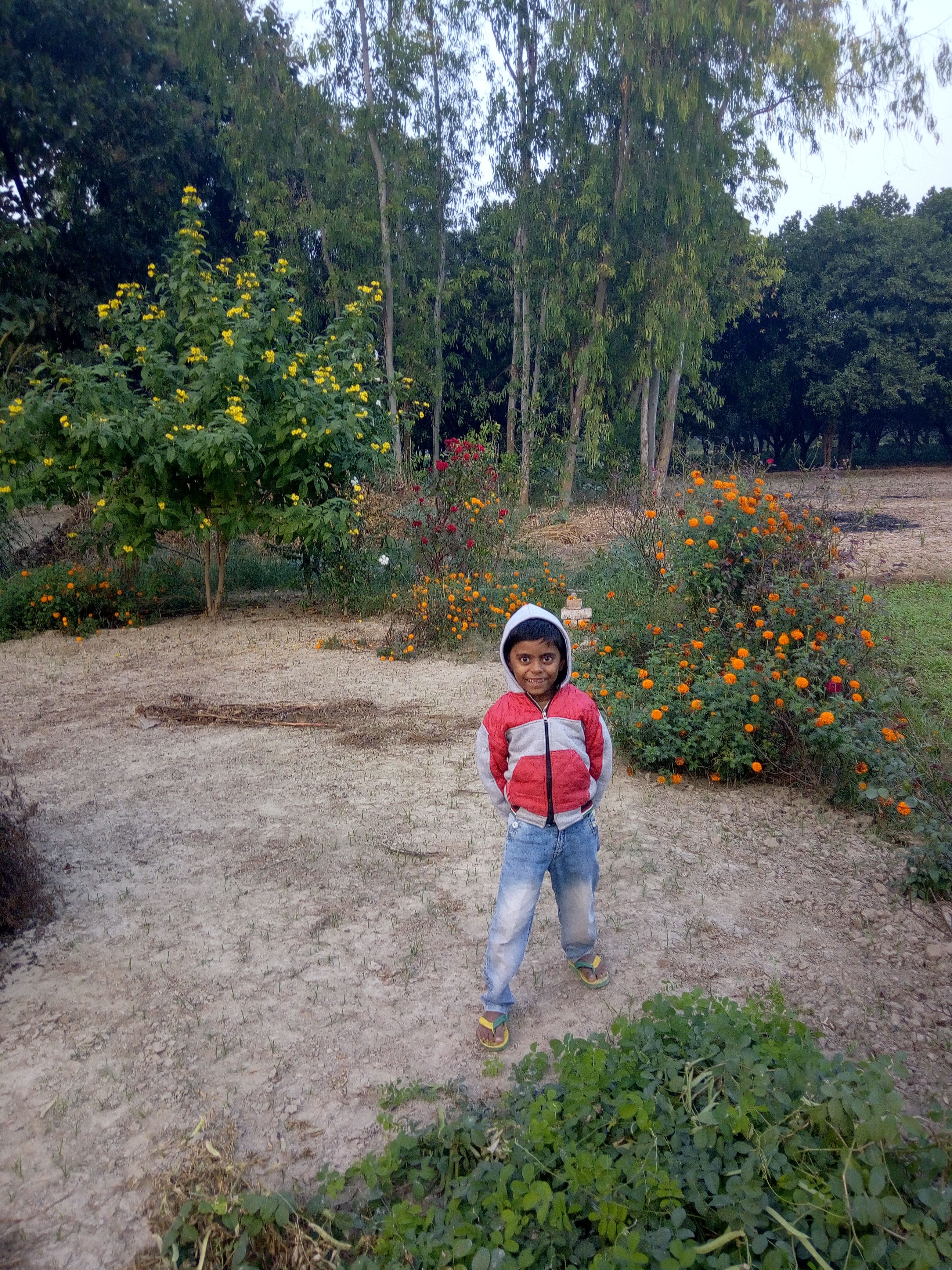 IMG_20171118_164251.jpg