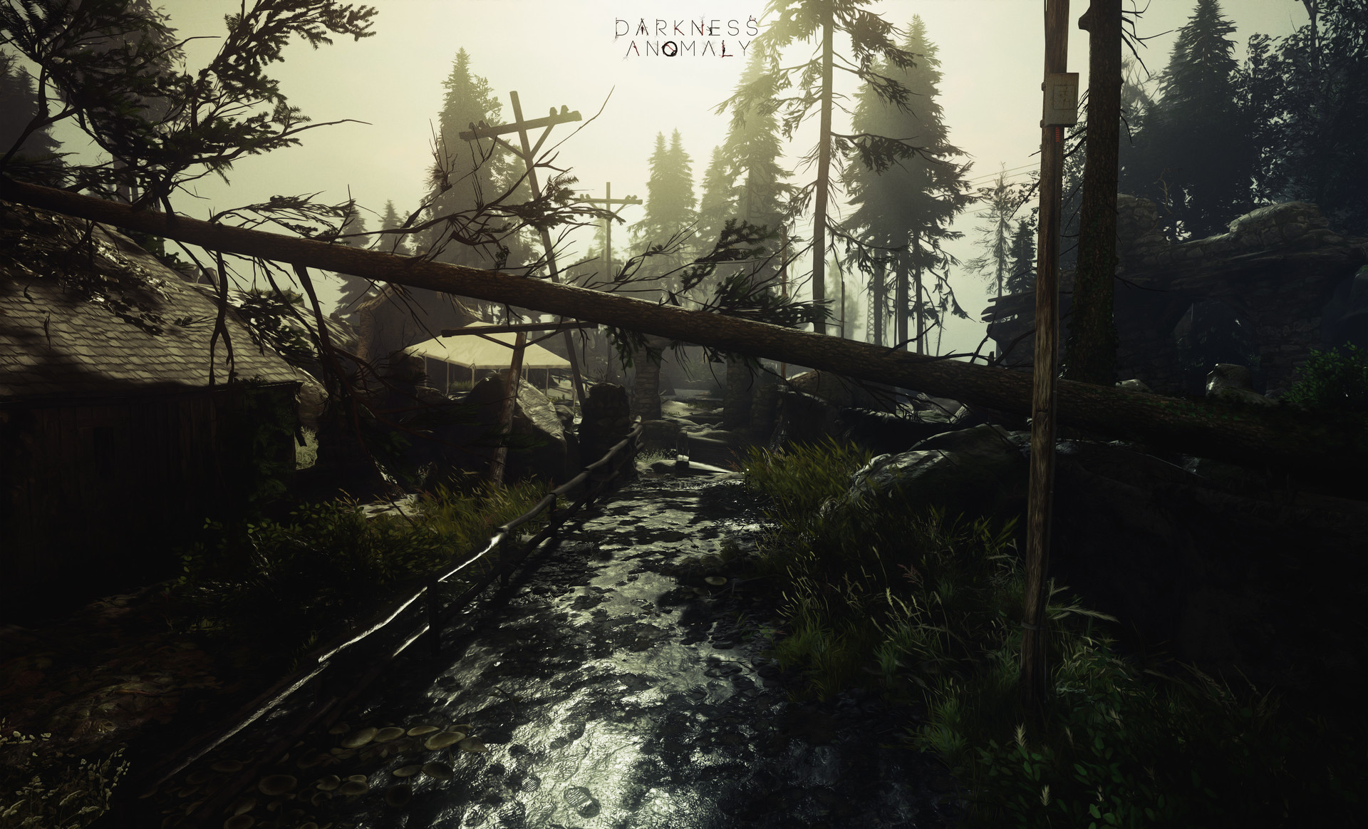 roma-perezogin-screenshot0013.jpg