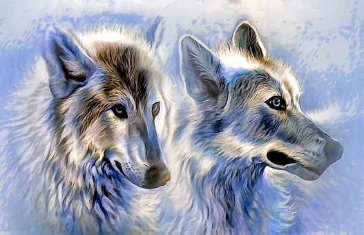 icewolf-as-canvas-1716638__340.jpg
